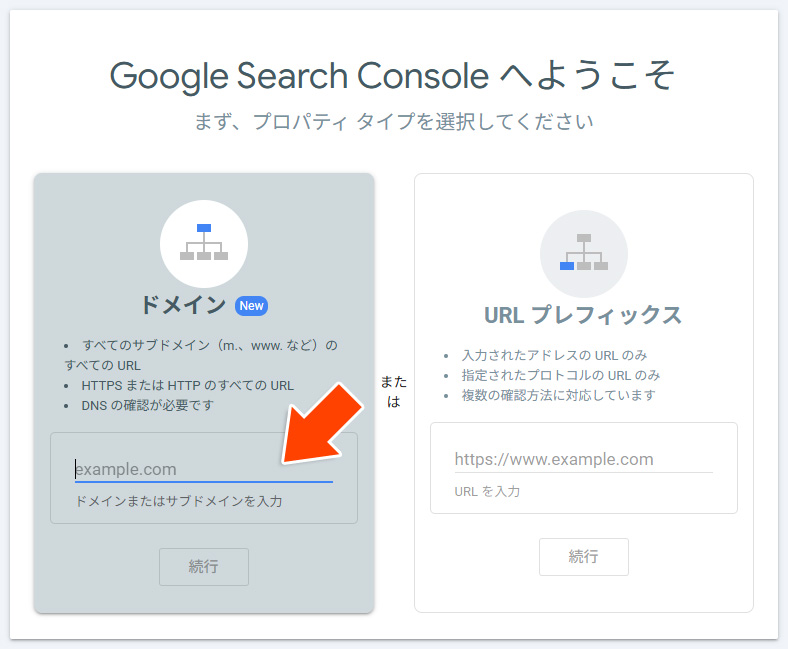 Google Search Console ドメインの入力画面